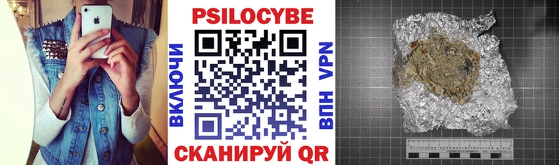 Псилоцибиновые грибы мухоморы  купить закладку  Переславль-Залесский 